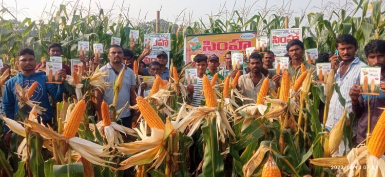 జీనెక్స్ సీడ్స్ ఇండియా ప్రైవేట్ లిమిటెడ్ కంపెనీ పంట దిగుబడి పై  రైతుకు మెలుకులు